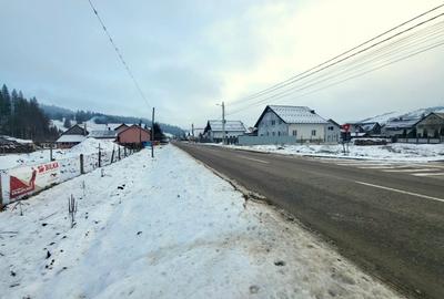 Teren Construcții intravilan de 5000 mp, în Nord - 11