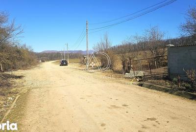 Teren de 2338 mp, în Bălești - 5