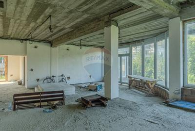 Casă individuală cu 10 camere cu Piscina în Bunloc - 12