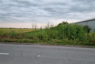 Teren de 4575 mp, în Filipeștii de Târg - 7