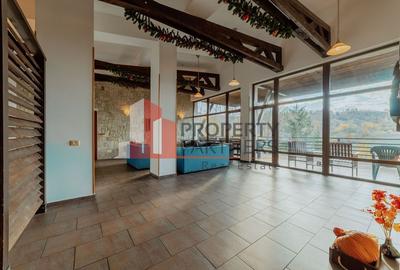 Pensiune  în Bran, sat Poarta – Afacere la cheie, locație premium - 2