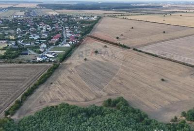 Teren în Tamași - 3