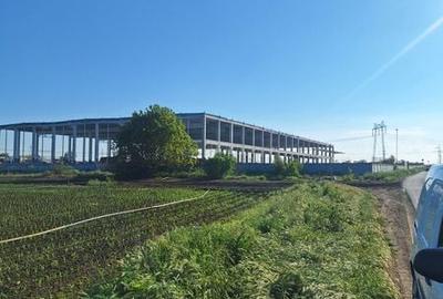 Teren de 14450 mp, în Palazu Mare