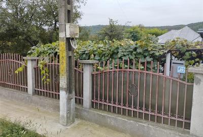 Casă individuală cu 3 camere cu Teren 3886 Mp în Gârleni - 8