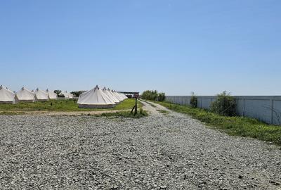 23 August / teren la mare - 5