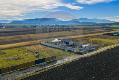 Teren Construcții intravilan de 800 mp, în Bod - 5