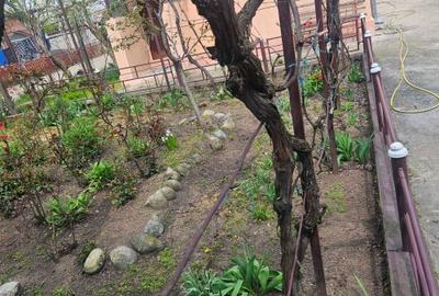 Casă cu 4 camere în Nanov - 5