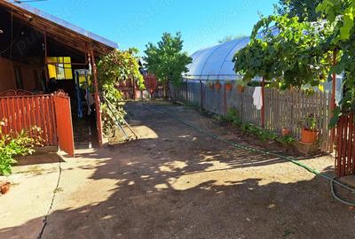 Casă cu 5 camere cu Teren 2272 Mp în Costești - 9