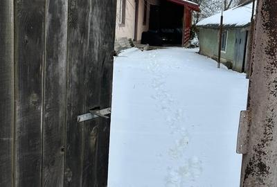 Casă cu 4 camere cu Teren 19200 Mp în Central - 14