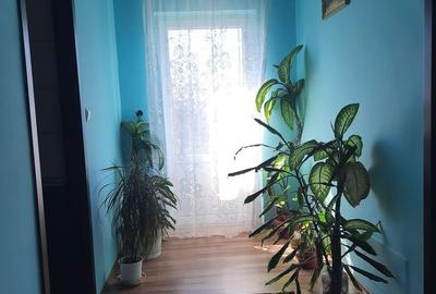 Casă cu 3 camere în Central - 7