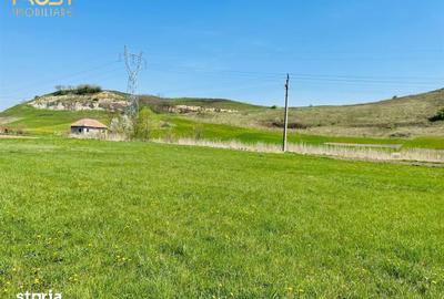 Teren de 2900 mp, în Baciu
