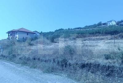 Teren 1000 mp, utilita?i + autoriza?ie Schit - 1