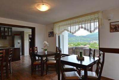 Vanzare domeniu deosebit, vila, anexe si teren cu livada de meri sub padure - 5