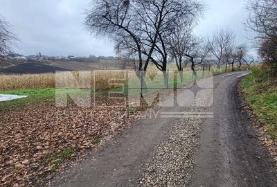 TEREN MOARA I SUCEAVA I LOC DE CASA I 20Ari I 60,000Euro - 5