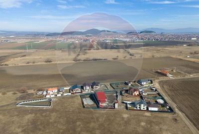 Teren 6400 mp, Drumul cu Plopi, Sanpetru - 6