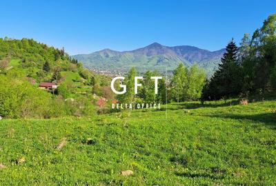 Teren extravilan de vanzare, Bistrita Bargaului- 10 minute de Colibita - 2