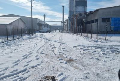 Spațiu industrial, de 17,000 mp, în Potlogi - 1