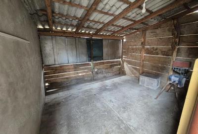 Casă cu Teren 1400 Mp în Macea - 1