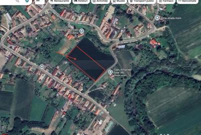 Teren de 7342 mp, în Alma - 3