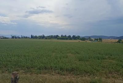 Teren de 400 mp, în Central - 1