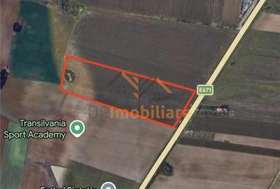 Teren de 24457 mp, în Nojorid - 5