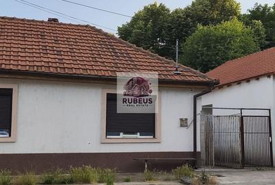 Refugiul la marginea pădurii in Orșova, pe malul Dunării - 3