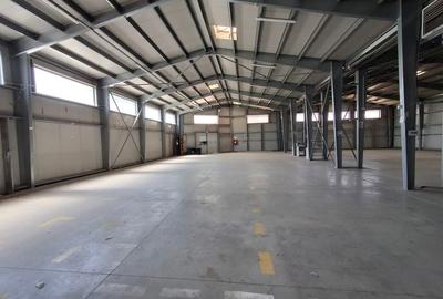Spatiu industrial/comercial stradal pe soseaua Berceni - 4