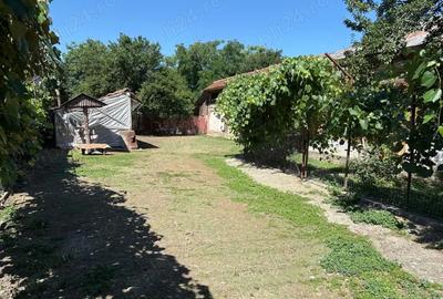 Vand casa la ?ara localitatea Vlasceni - 4