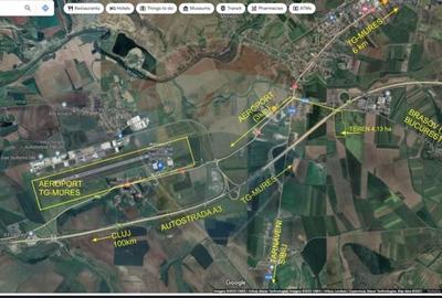 Teren agricol extravilan de 43485 mp, în Sud-Vest - 2