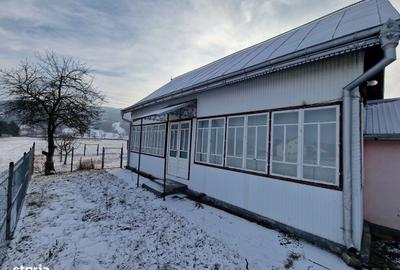 Casă cu 4 camere cu Teren 2676 Mp în Central - 6
