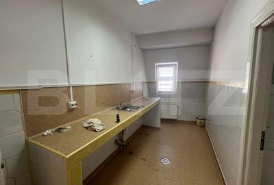 Imobil de inchiriat, 329 mp, Centru Vechi - 12 camere - 8