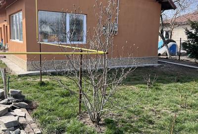 Casă cu 4 camere în Mălăiești - 7