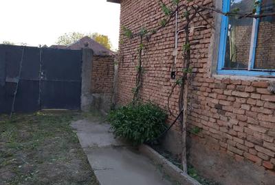 Se vinde in ?ibot Se vinde in ?ibot - 2