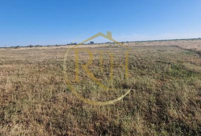 Teren Construcții intravilan de 7530 mp, în Plopi - 3