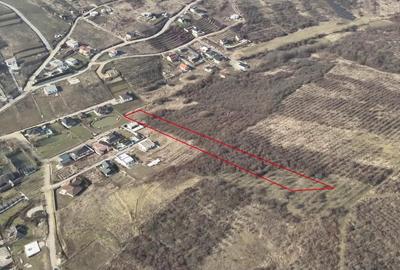 Teren intravilan de 7900 mp, în Săldăbagiu de Munte - 3