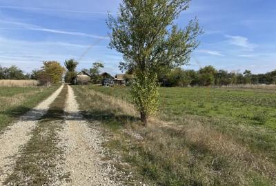 Teren de 3700 mp, în Nejlovelu - 1