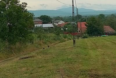 Spațiu comercial, în Răchita - 5