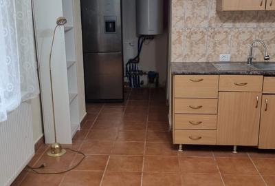 Casă cu 2 camere în Miniș - 3