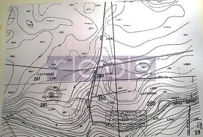 VANZARE TEREN INTRAVILAN LANGA PADUREA SAFTICA - 2