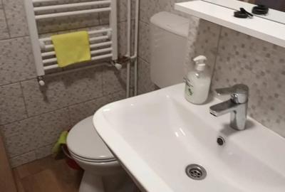 Garsoniera semidecomandata Rovine_Wiesana - 3