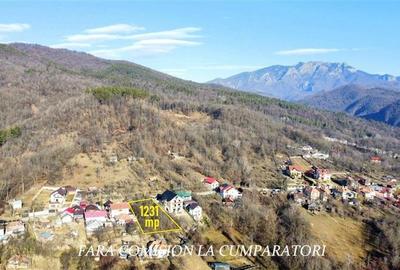CALIMANESTI, TEREN 1231 MP - 2