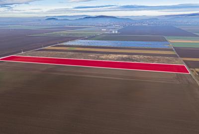 Teren intravilan pretabil industri, logistica sau parc fotovoltaic - 3