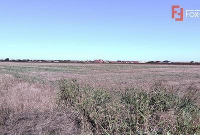 COMISION 0% Teren extravilan 40.000 mp - zona Sanandrei - 2