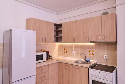 Garsonieră semidecomandată, mobilată în Domenii - 6