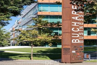 Spațiu comercial, în Nord - 8