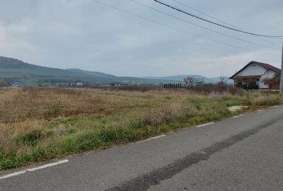 Teren Construcții intravilan de 4000 mp, în Sud-Est
