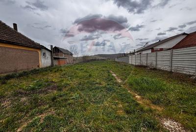 Teren Construcții intravilan de 1186 mp, în Ineu - 4