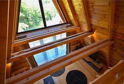 A Frame cu vedere la Piatra Craiului Moieciu, Brasov - 13