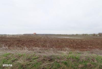 Teren de 4000 mp, în Central