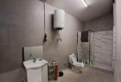 Hala NOUA 2024, sup.construita 398 mp Suceagu - 4